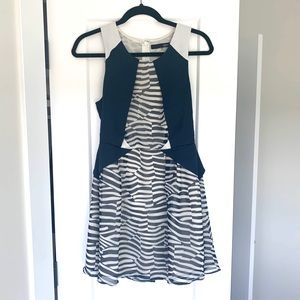 Navy and White Dress